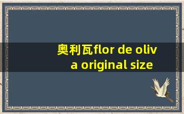 奥利瓦flor de oliva original size